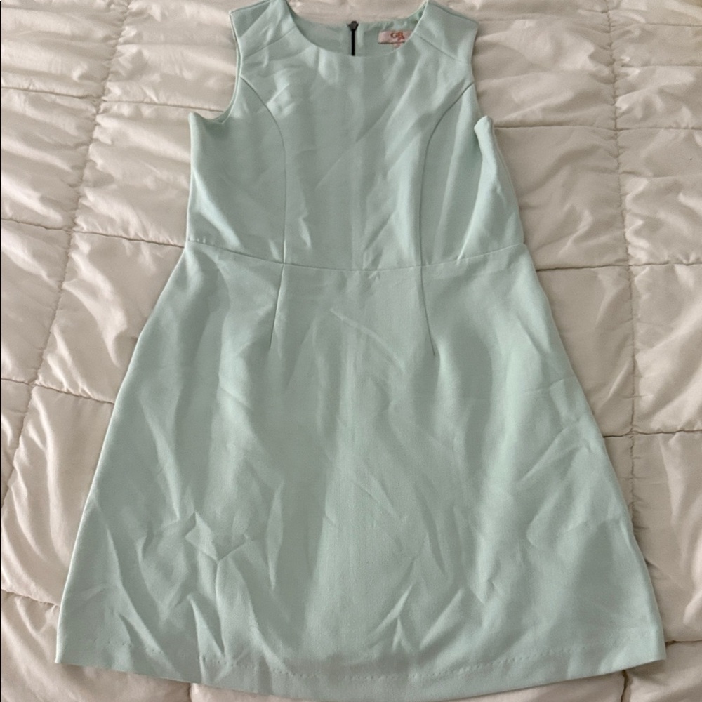 Gianni Bini Light Green Sleeveless Dress
